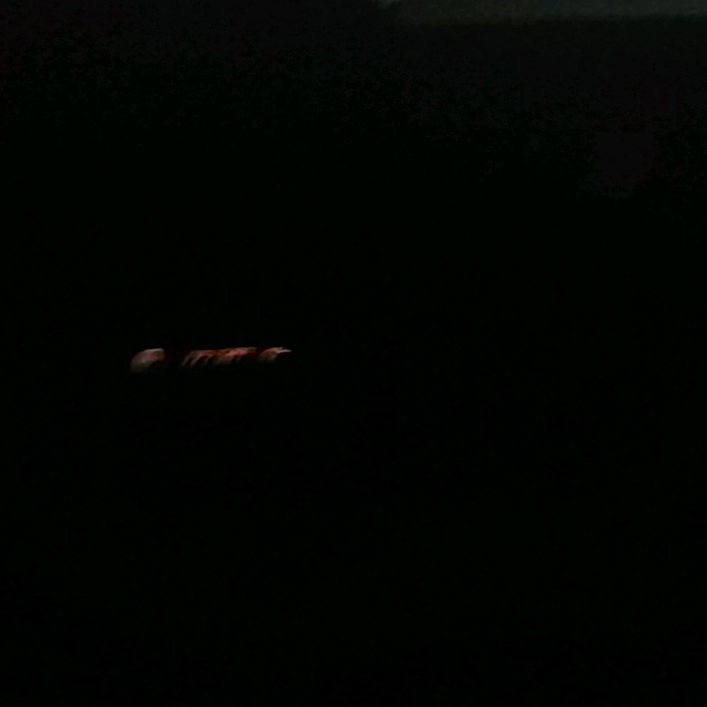 Meet your Posher, Jeanette